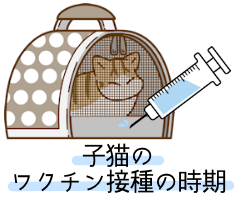 子猫のワクチン接種の時期